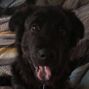 Meet your Posher, Aden